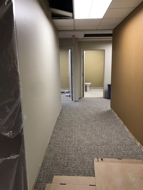 Carpeting in hallway leading to employee restroom with new painted walls.